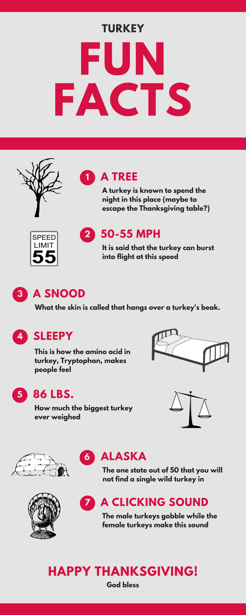 Turkey And Thanksgiving Facts
 7 Fun Facts About the Turkey infographic