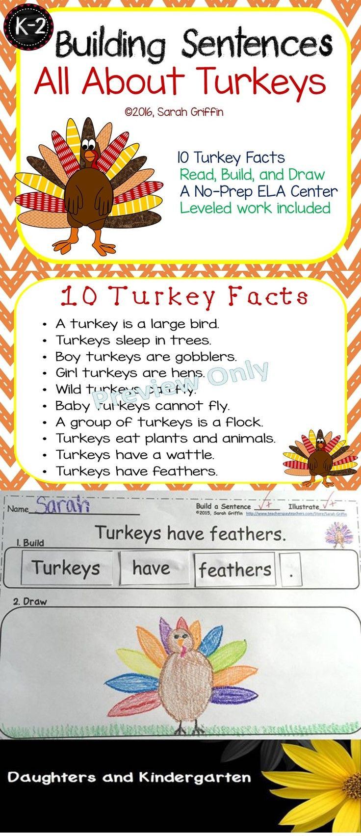 Turkey And Thanksgiving Facts
 Building Sentences Turkey Facts