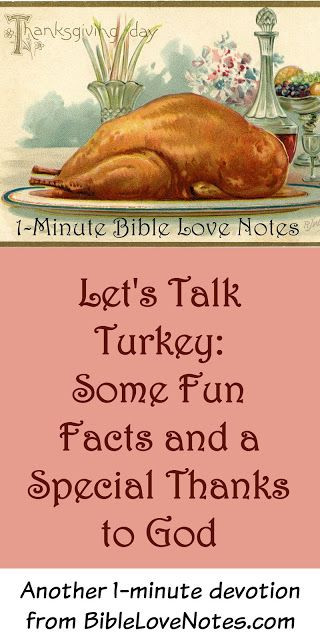 Turkey And Thanksgiving Facts
 1000 ideas about Facts About Turkey on Pinterest