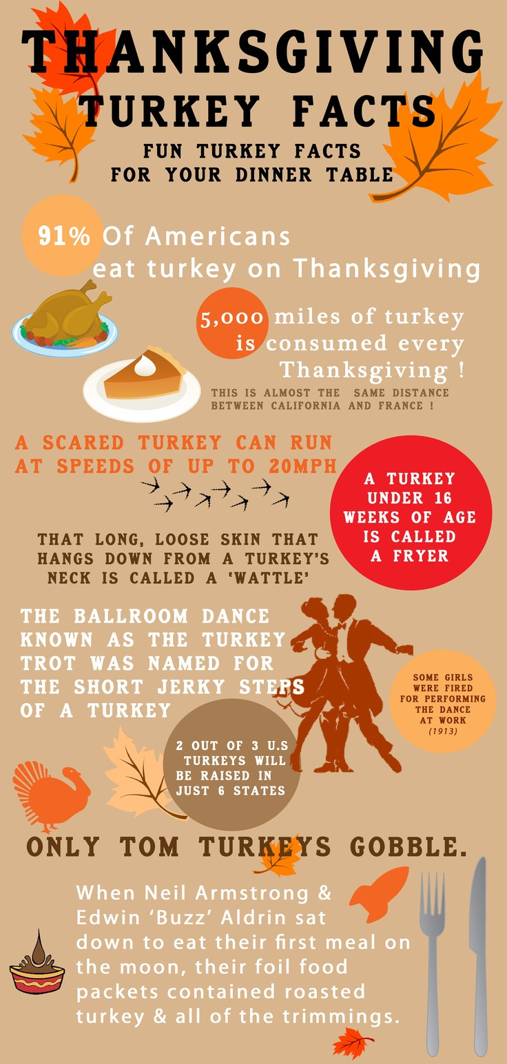 Turkey And Thanksgiving Facts
 45 best images about Newsletter Templates on Pinterest