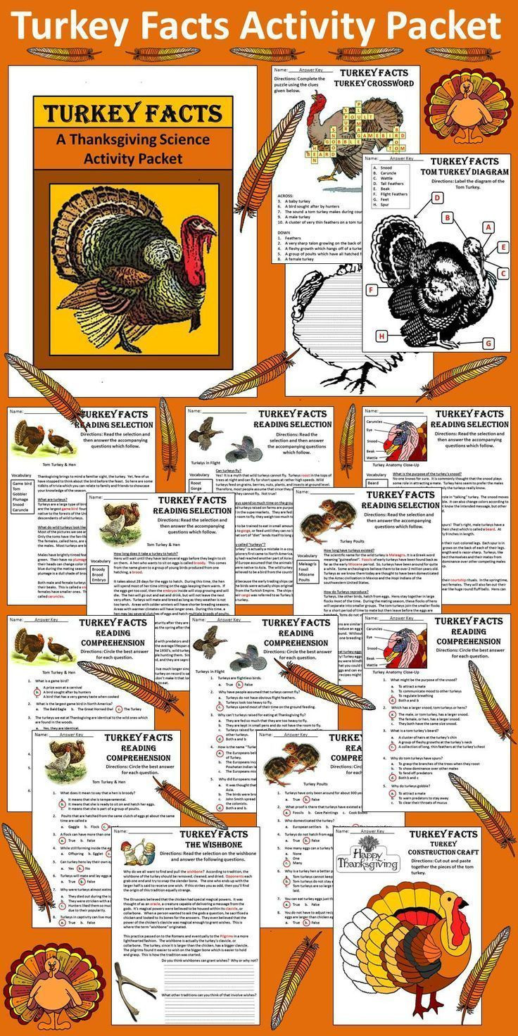 Turkey And Thanksgiving Facts
 The 25 best Turkey facts ideas on Pinterest
