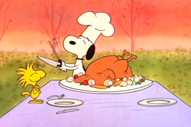 Turkey Hotline Thanksgiving
 “Can I baste my turkey with suntan lotion ” and 11 other