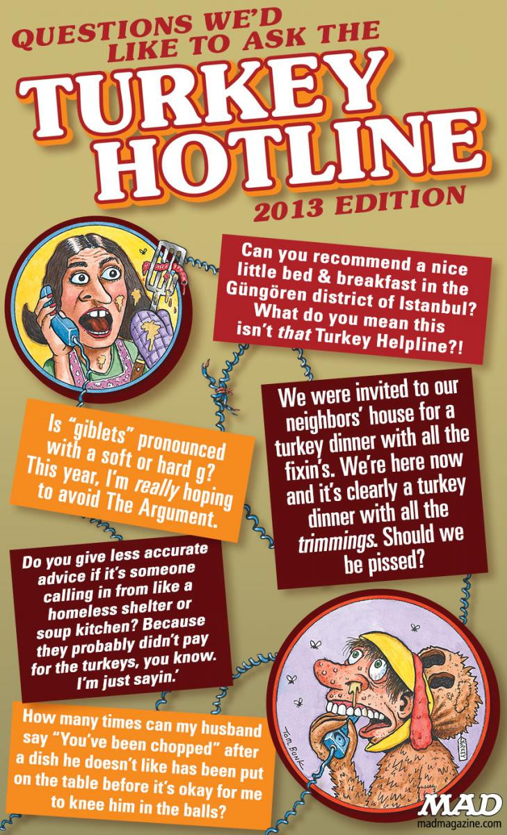 Turkey Hotline Thanksgiving
 Questions We d Like to Ask the Turkey Hotline — 2013