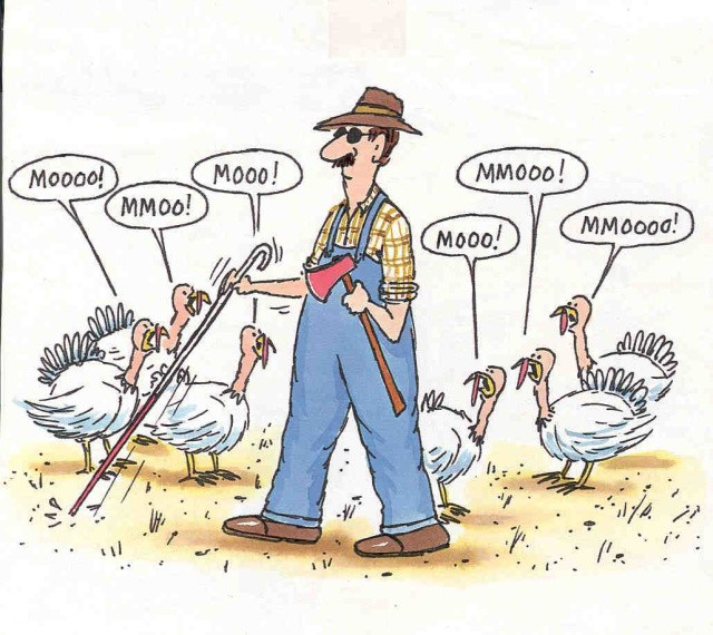 Turkey Humor Thanksgiving
 holidays