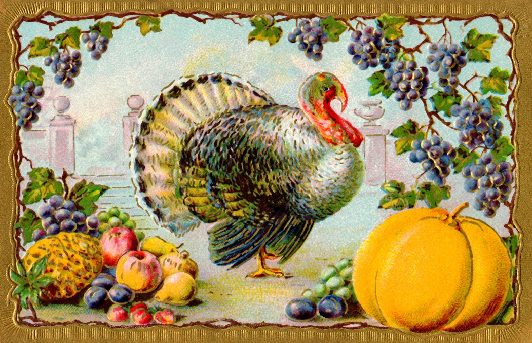 Turkey Images For Thanksgiving
 MATIN LUMINEUX Happy Thanksgiving