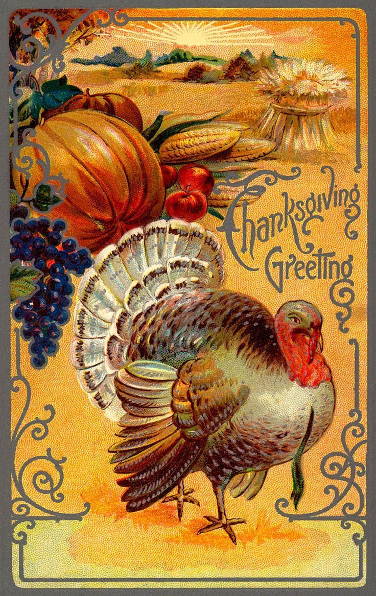 Turkey Images For Thanksgiving
 Illustrations vintage et cartes postales anciennes Page 2