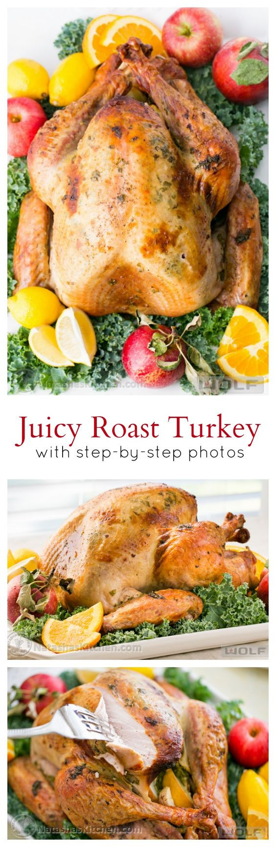 Turkey Recipe For Thanksgiving Dinner
 The BEST Thanksgiving Dinner Holiday Favorite Menu Recipes