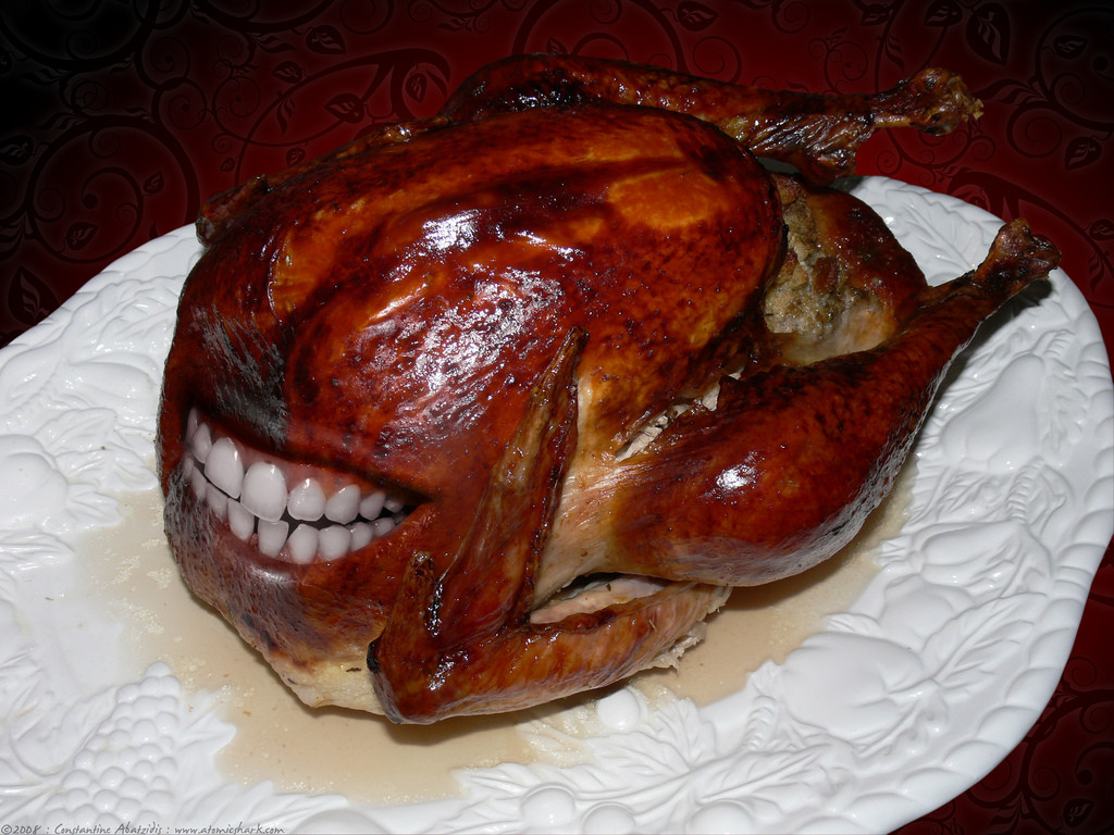 Turkey Thanksgiving Picture
 Thanksgiving on Pinterest