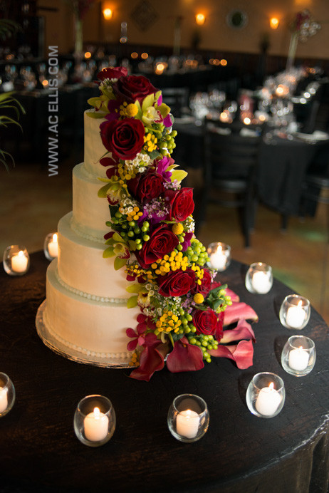 Wedding Cakes Sioux Falls
 Lisa and Casey Sioux Falls Wedding Cake The Cake Lady