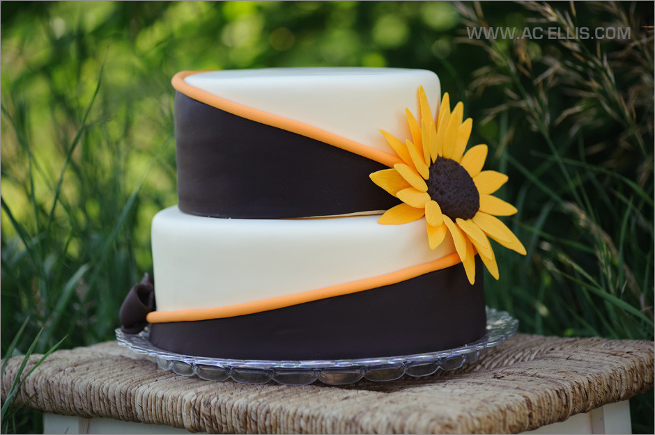 30 Of the Best Ideas for Wedding Cakes Sioux Falls - Best Diet and Healthy Recipes Ever ...