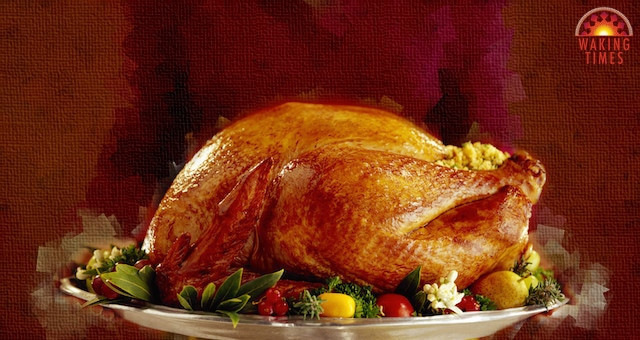 Why Eat Turkey On Thanksgiving
 The Hard to Swallow Truth About Turkey Day