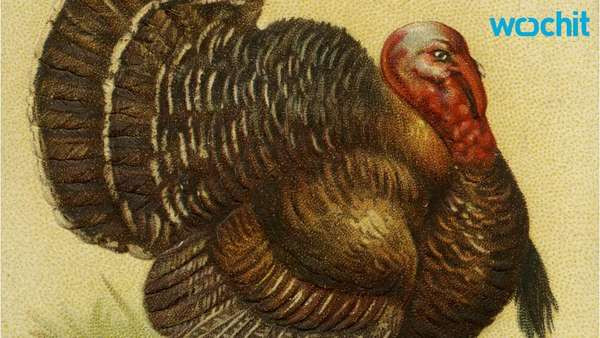 Why Eat Turkey On Thanksgiving
 Do You Know Why People Eat Turkey e News Page VIDEO